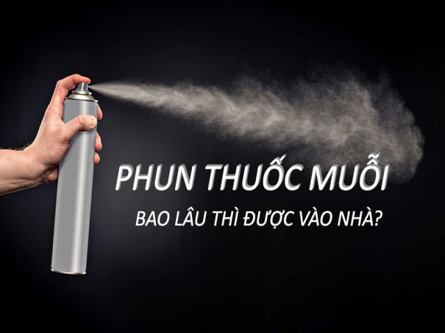 sau-phun-thuoc-muoi-bao-lau-thi-vao-nha-duoc